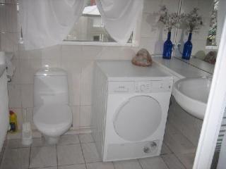 Guesthouse Bina レイキャヴィーク エクステリア 写真